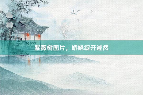 紫薇树图片，娇娆绽开遽然